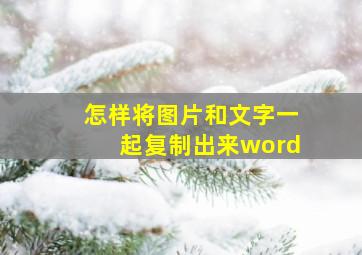 怎样将图片和文字一起复制出来word