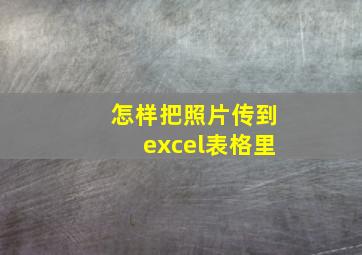 怎样把照片传到excel表格里