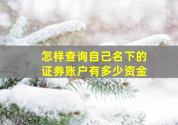 怎样查询自己名下的证券账户有多少资金