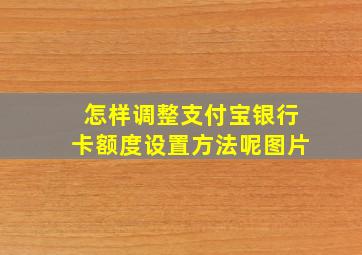 怎样调整支付宝银行卡额度设置方法呢图片