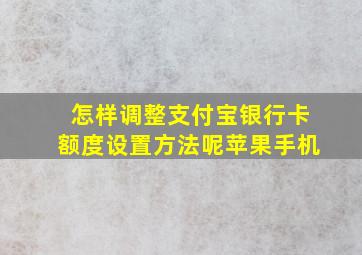 怎样调整支付宝银行卡额度设置方法呢苹果手机