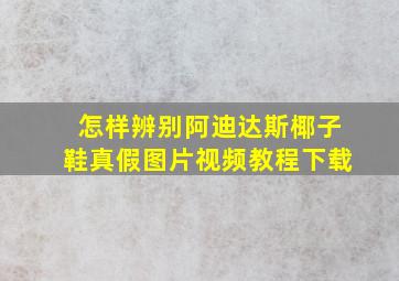 怎样辨别阿迪达斯椰子鞋真假图片视频教程下载