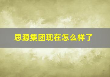 思源集团现在怎么样了