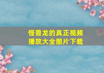 怪兽龙的真正视频播放大全图片下载