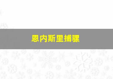 恩内斯里捕骡