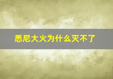 悉尼大火为什么灭不了