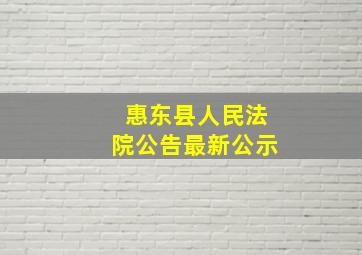 惠东县人民法院公告最新公示