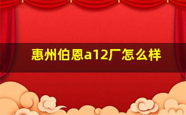 惠州伯恩a12厂怎么样