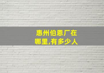 惠州伯恩厂在哪里,有多少人