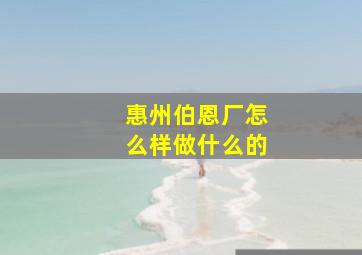 惠州伯恩厂怎么样做什么的