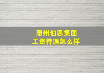 惠州伯恩集团工资待遇怎么样