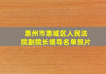 惠州市惠城区人民法院副院长领导名单照片