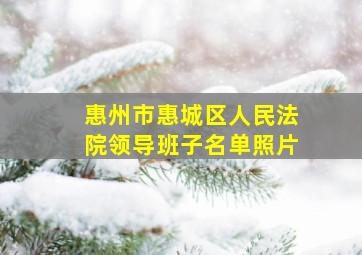 惠州市惠城区人民法院领导班子名单照片