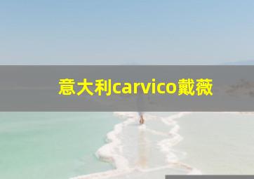 意大利carvico戴薇