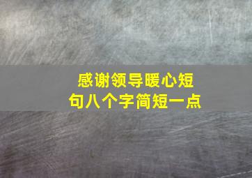 感谢领导暖心短句八个字简短一点