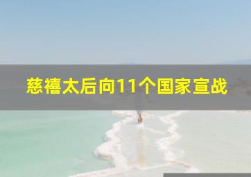 慈禧太后向11个国家宣战