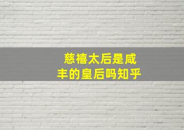 慈禧太后是咸丰的皇后吗知乎