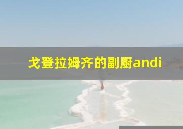 戈登拉姆齐的副厨andi