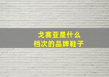 戈赛亚是什么档次的品牌鞋子