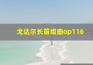 戈达尔长笛组曲op116