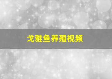 戈雅鱼养殖视频