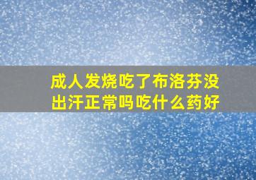 成人发烧吃了布洛芬没出汗正常吗吃什么药好