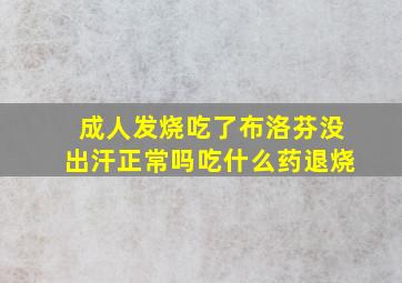 成人发烧吃了布洛芬没出汗正常吗吃什么药退烧