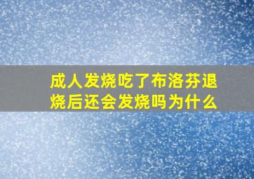 成人发烧吃了布洛芬退烧后还会发烧吗为什么