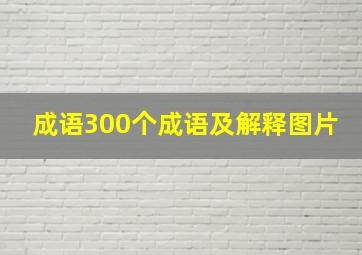 成语300个成语及解释图片