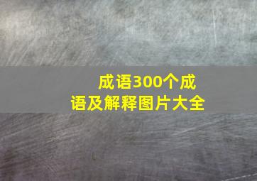 成语300个成语及解释图片大全