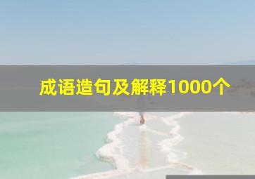 成语造句及解释1000个