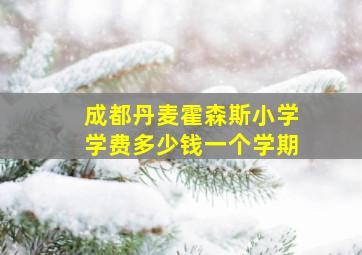 成都丹麦霍森斯小学学费多少钱一个学期