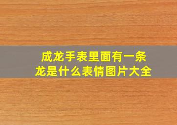 成龙手表里面有一条龙是什么表情图片大全