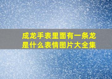 成龙手表里面有一条龙是什么表情图片大全集