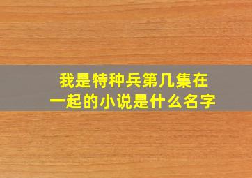 我是特种兵第几集在一起的小说是什么名字