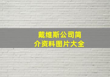 戴维斯公司简介资料图片大全