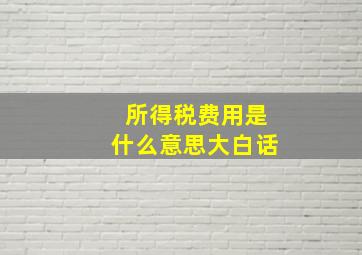 所得税费用是什么意思大白话