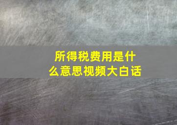 所得税费用是什么意思视频大白话