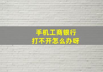 手机工商银行打不开怎么办呀