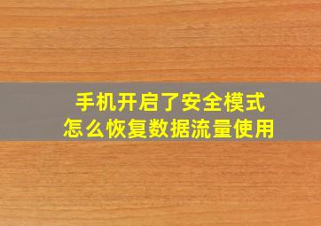 手机开启了安全模式怎么恢复数据流量使用