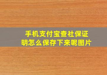 手机支付宝查社保证明怎么保存下来呢图片