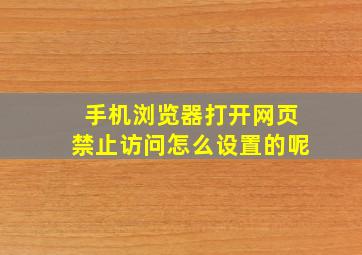 手机浏览器打开网页禁止访问怎么设置的呢