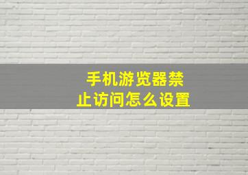 手机游览器禁止访问怎么设置