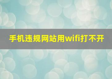 手机违规网站用wifi打不开