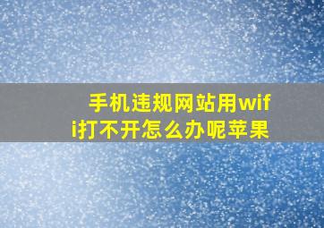 手机违规网站用wifi打不开怎么办呢苹果