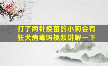 打了两针疫苗的小狗会有狂犬病毒吗视频讲解一下