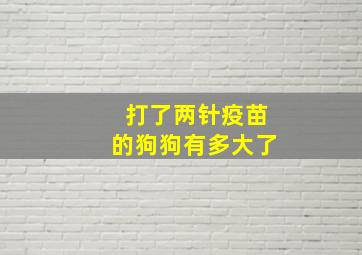 打了两针疫苗的狗狗有多大了