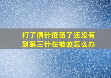 打了俩针疫苗了还没有到第三针在被咬怎么办