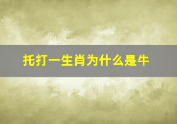 托打一生肖为什么是牛