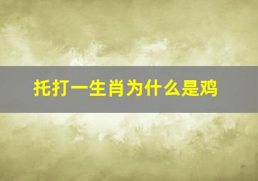 托打一生肖为什么是鸡